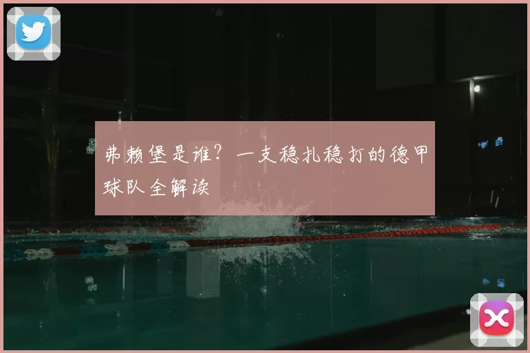 弗赖堡是谁？一支稳扎稳打的德甲球队全解读