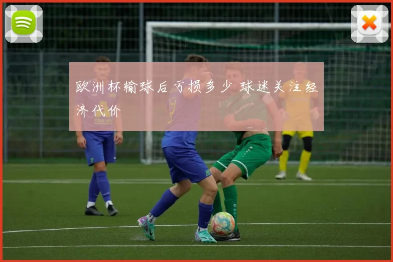 欧洲杯输球后亏损多少 球迷关注经济代价
