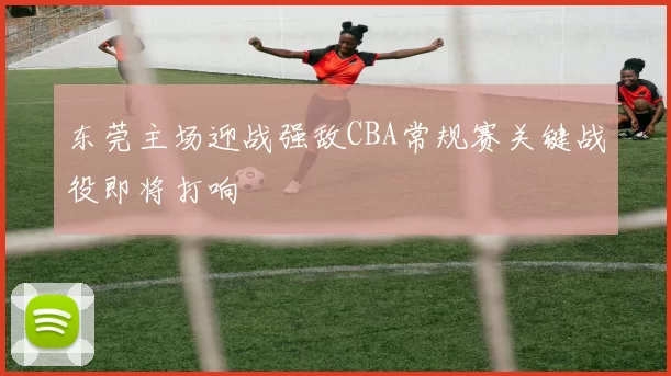 东莞主场迎战强敌CBA常规赛关键战役即将打响