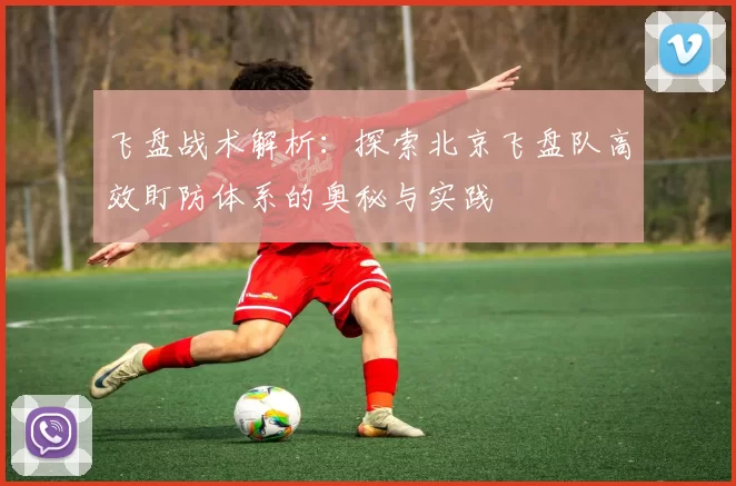 飞盘战术解析：探索北京飞盘队高效盯防体系的奥秘与实践