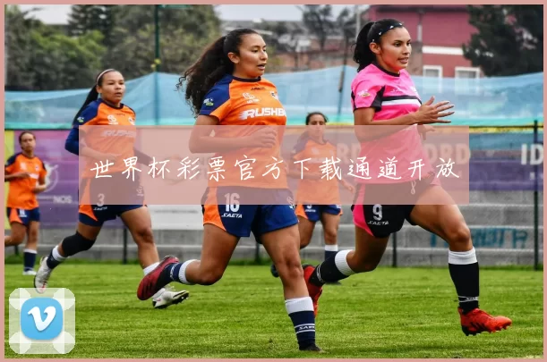 世界杯彩票官方下载通道开放