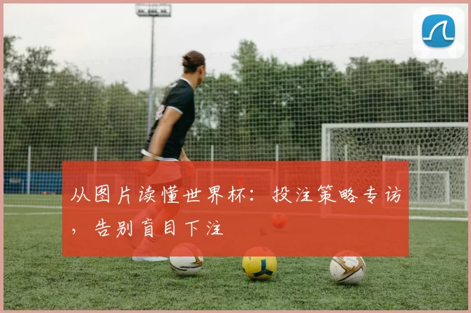 从图片读懂世界杯:投注策略专访,告别盲目下注