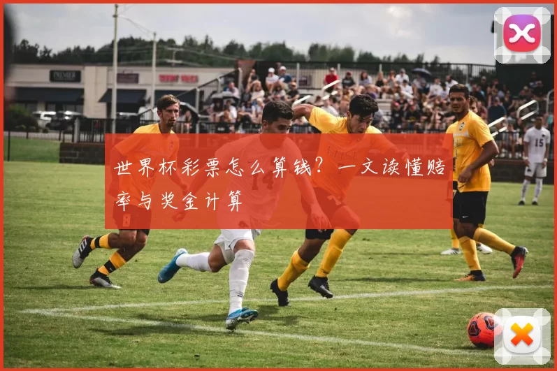 世界杯彩票怎么算钱?一文读懂赔率与奖金计算