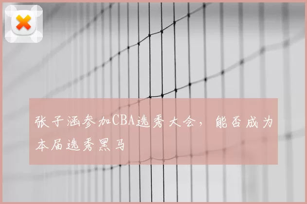 张子涵参加CBA选秀大会,能否成为本届选秀黑马