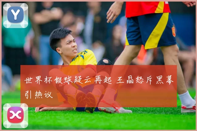 世界杯假球疑云再起 王晶怒斥黑幕引热议