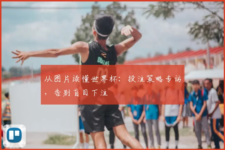 从图片读懂世界杯：投注策略专访，告别盲目下注