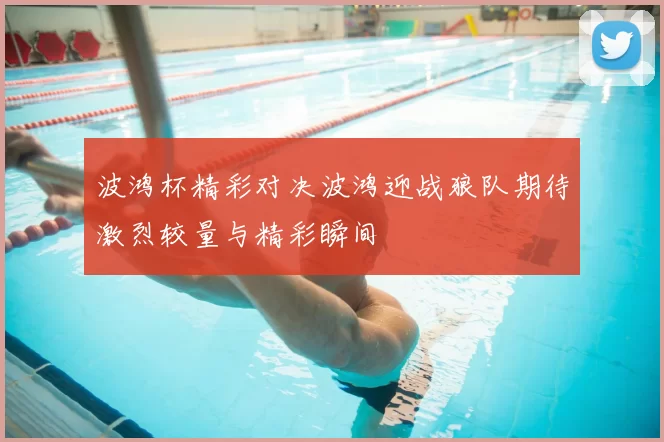 波鸿杯精彩对决波鸿迎战狼队期待激烈较量与精彩瞬间
