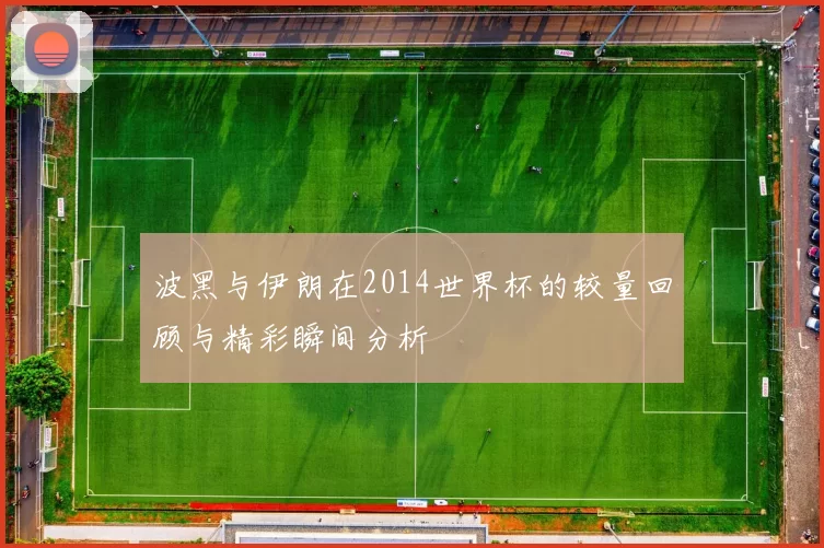 波黑与伊朗在2014世界杯的较量回顾与精彩瞬间分析