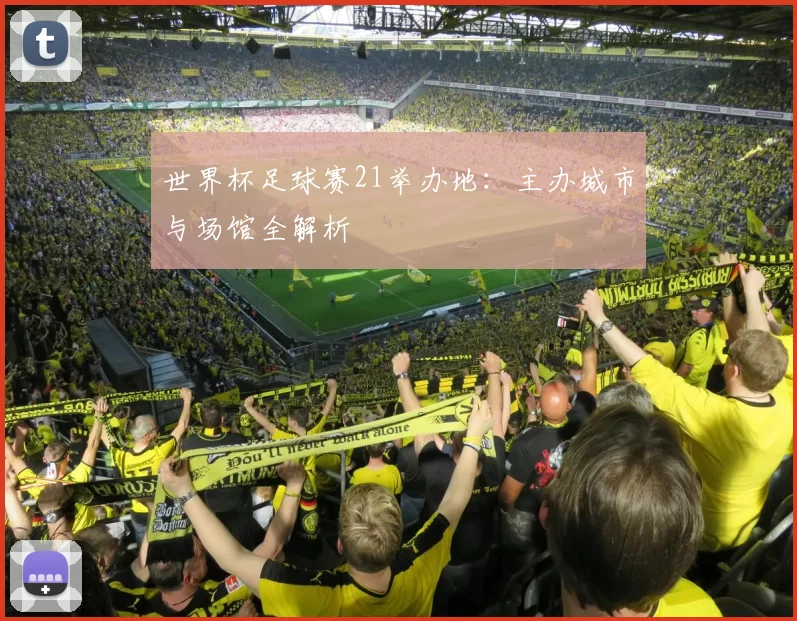 世界杯足球赛21举办地：主办城市与场馆全解析