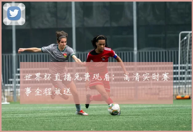 世界杯直播免费观看：高清实时赛事全程放送