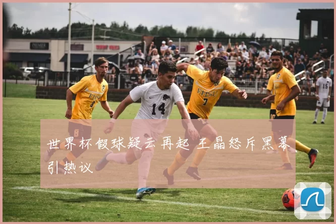 世界杯假球疑云再起 王晶怒斥黑幕引热议