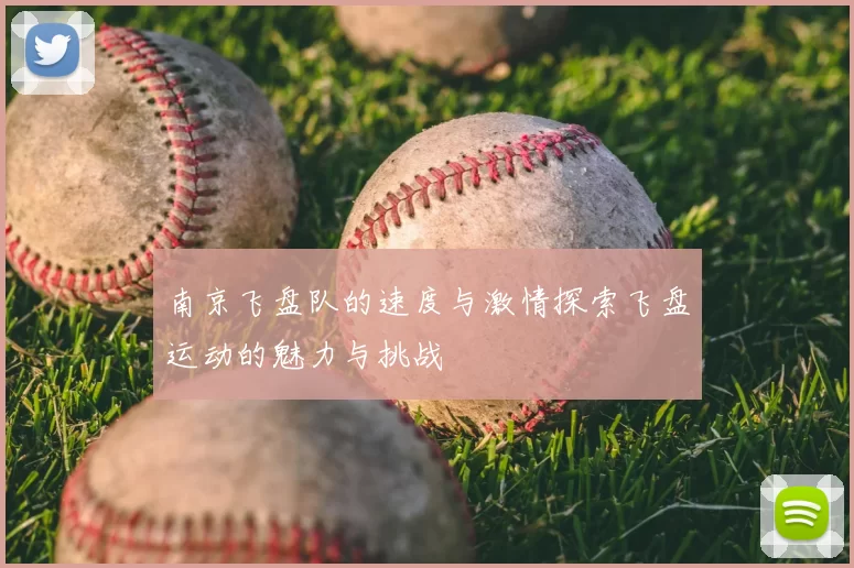 南京飞盘队的速度与激情探索飞盘运动的魅力与挑战