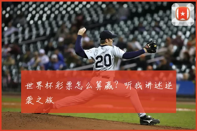 世界杯彩票怎么算赢?听我讲述逆袭之旅