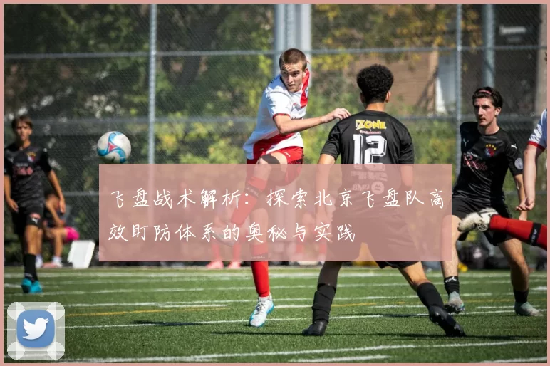 飞盘战术解析:探索北京飞盘队高效盯防体系的奥秘与实践