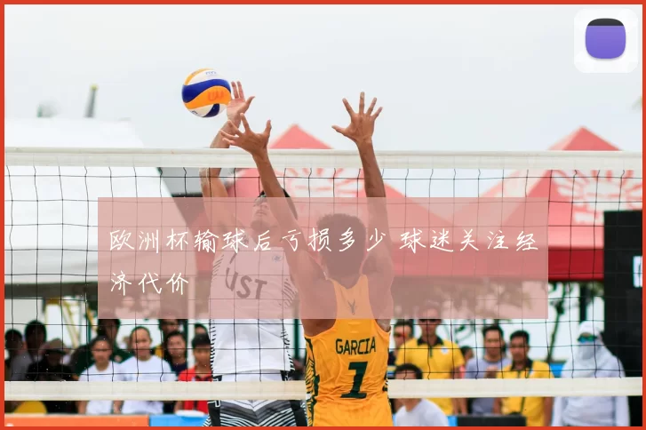欧洲杯输球后亏损多少 球迷关注经济代价