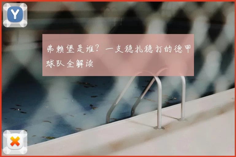 弗赖堡是谁？一支稳扎稳打的德甲球队全解读