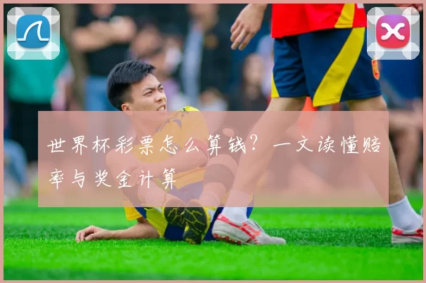 世界杯彩票怎么算钱？一文读懂赔率与奖金计算