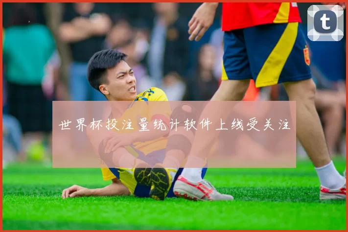 世界杯投注量统计软件上线受关注